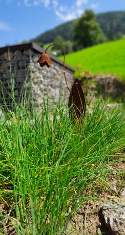 Biobauernhof Obermühle